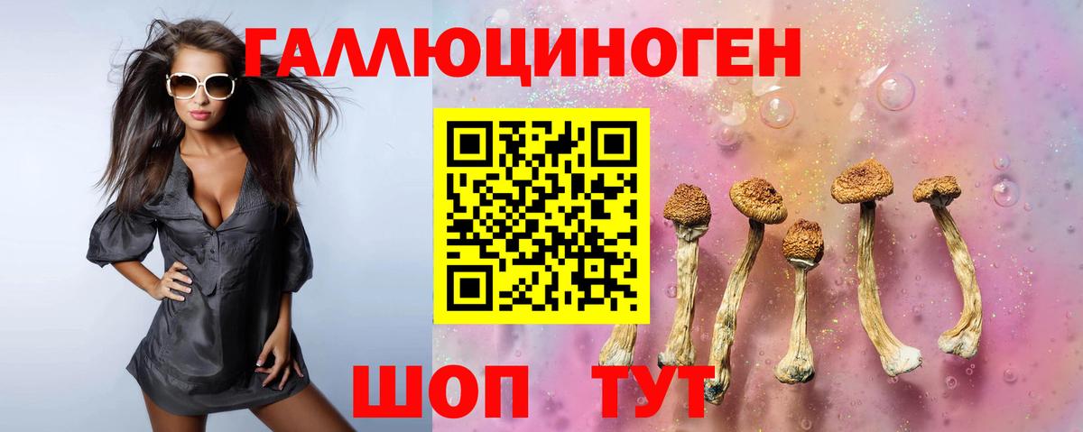 Галлюциногенные грибы мицелий Камень-на-Оби