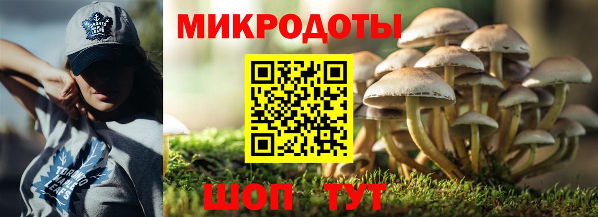 Камень-на-Оби  Галлюциногенные грибы MAGIC MUSHROOMS  Вход с VPN 