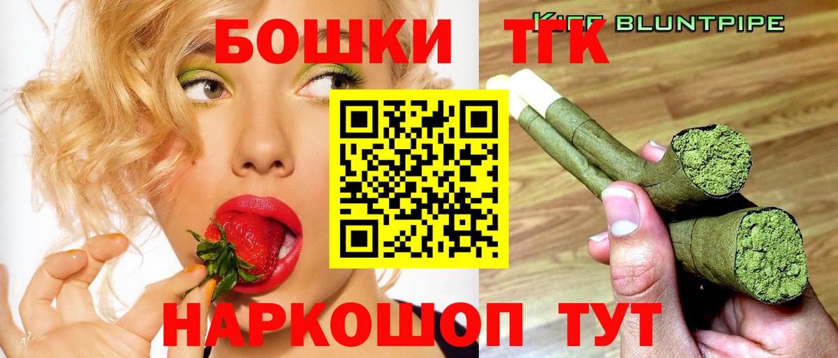 Бошки Шишки планчик Камень-на-Оби